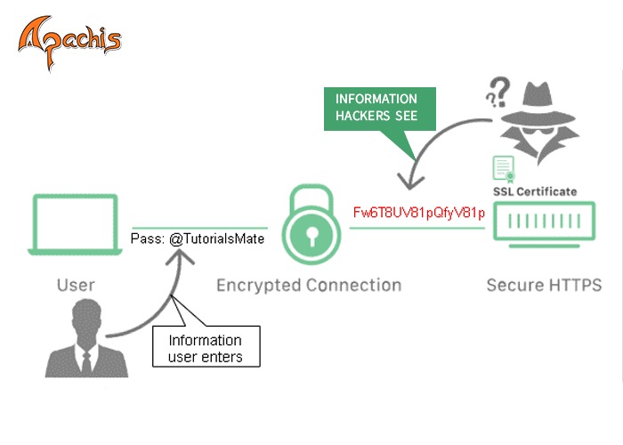 How does SSL certificate work