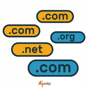 domain name 